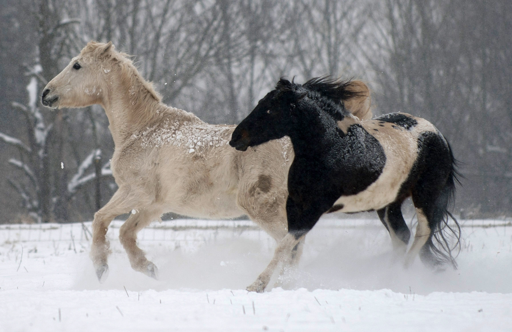 Οι φωτογραφίες της ημέρας (17 Ιανουαρίου 2013)